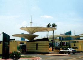 枝江膜结构案例